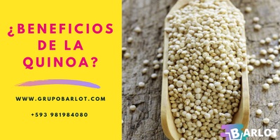 LA QUINOA