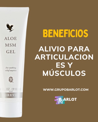 Aloe MSM gel Forever